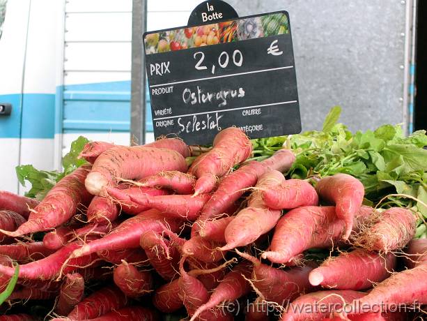 2007-05-12_08-30-41_Mai_112,7mm_1_30_eme_Canon PowerShot A95 